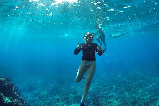 Ultimate 4 Hour Lanai Snorkel and Dolphin Encounter - Stop One: Lanai secret coves where turtles and dolphins do the talking
