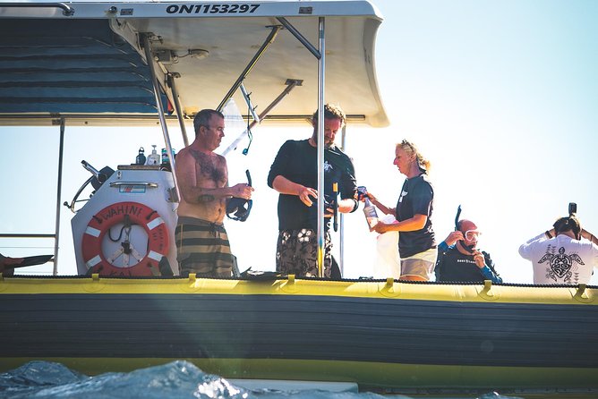 Ultimate 4 Hour Lanai Snorkel and Dolphin Encounter - The snacks-and-boat reality check (plus BYOB)
