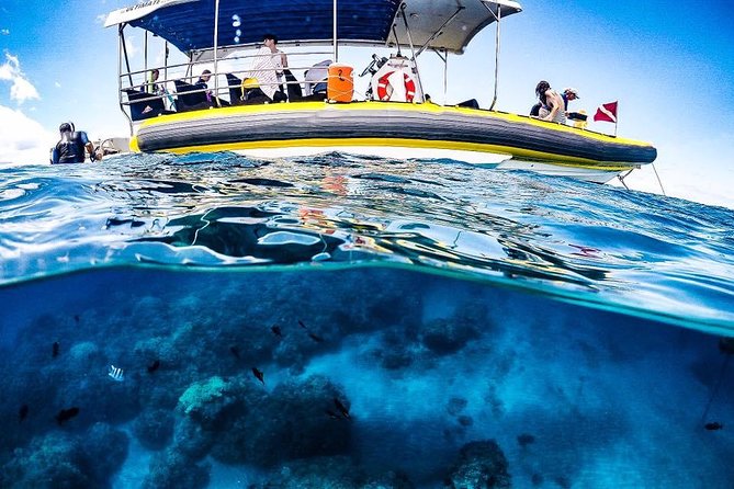 Ultimate 4 Hour Lanai Snorkel and Dolphin Encounter - What to bring and how to dress for a 4-hour ocean plan