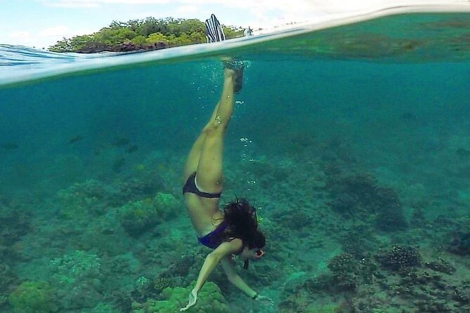 Ultimate Maui Kayak Snorkel Experience - When Weather or Water Conditions Change: Safety-First Planning