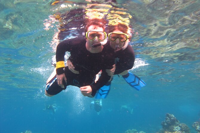 Ultimate Maui Kayak Snorkel Experience - Transportation, Timing, and Where You End Up