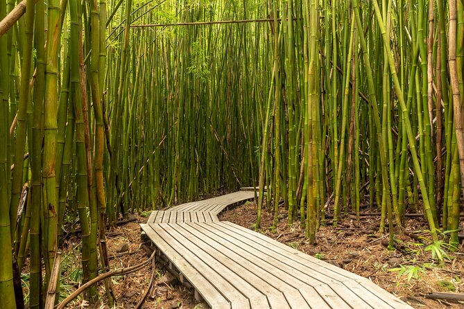 Ultimate Self-Driving Audio Tour of Road to Hana, Maui - Arboretums, trails, and the Garden of Eden stop you’ll talk about later