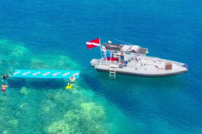 VIP Aloha Nui Snorkel Adventure w/ optional SCUBA from Lahaina - Snorkeling sites picked for the day, not a fixed script