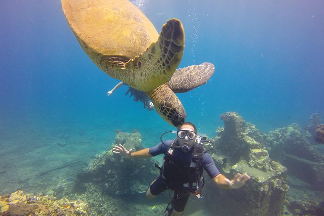 VIP Aloha Nui Snorkel Adventure w/ optional SCUBA from Lahaina - Optional SCUBA: first-timer friendly with the right instructor