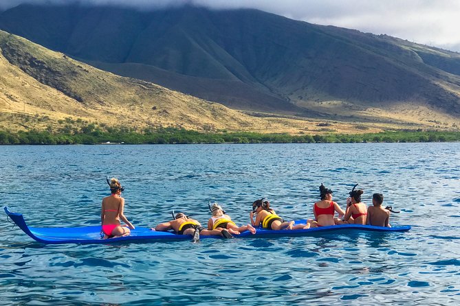 VIP Aloha Nui Snorkel Adventure w/ optional SCUBA from Lahaina - What the water portion looks like: coral gardens, fish schools, turtles