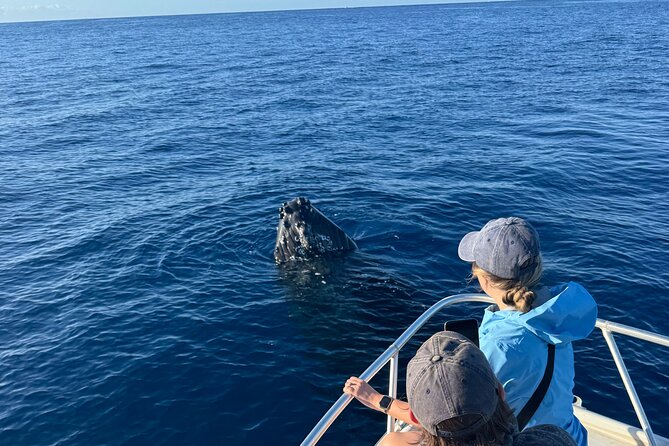 VIP Premiere Whale Watch Kaanapali Beach MAX 12 PASSENGERS - Getting There at 2435 Kaanapali Pkwy: Your Starting Line