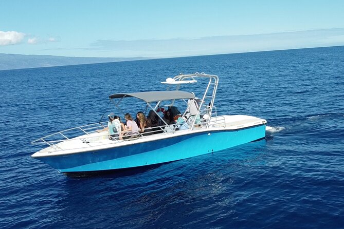 VIP Premiere Whale Watch Kaanapali Beach MAX 12 PASSENGERS - How the Crew Helps You See More (and Get Better Photos)