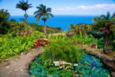 VIP Private Road to Hana Tour in Cadillac Escalade with Pickup - Getting started: pickup in Maui and an easy first hour