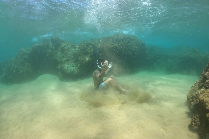 Water Bike Tour in South Maui - Key points at a glance