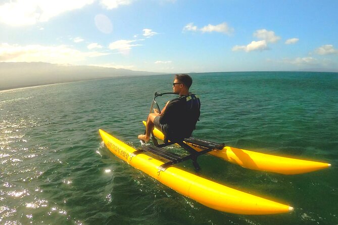 Water Bike Tour in South Maui - Wildlife watching: what you might see and how to roll with it