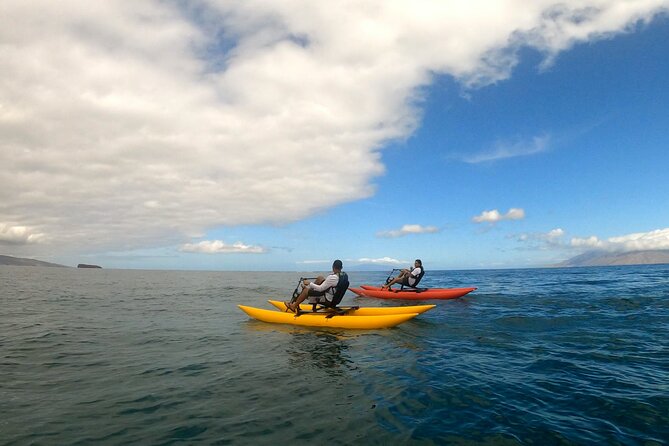 Water Bike Tour in South Maui - Pace and effort: it’s exercise, but it’s not an ordeal