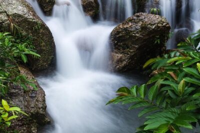 Waterfall, #1 On The Road to Hana, With Chocolate tour Historical - The King’s Gardens part: artifacts and dinosaur fern are more than photo props