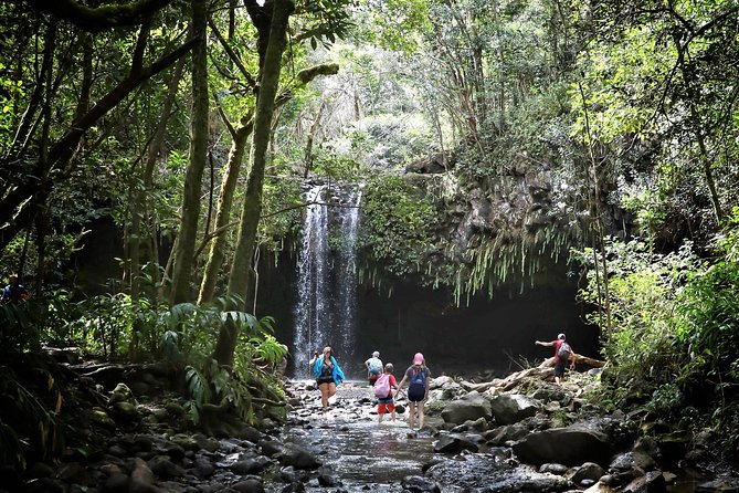 Waterfall & Rainforest Hiking Adventure with Hotel Pickup - The Main Event: 2.5 Miles Through a Waterfall-Rich Valley