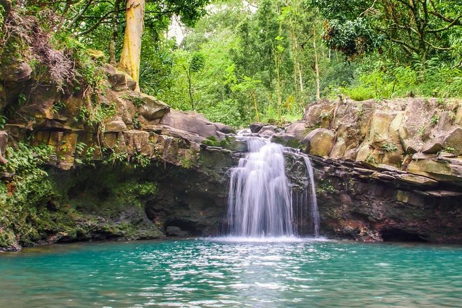 Waterfall & Rainforest Hiking Adventure with Hotel Pickup - The Hidden Pool Stop: Swim, Jump, and Get Soaked (On Purpose)