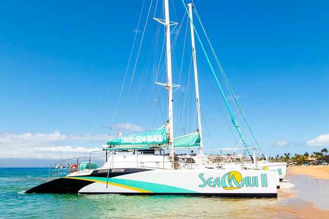 West Maui Afternoon Snorkel from Ka’anapali Beach - Value Check: Why $156.16 Can Make Sense Here