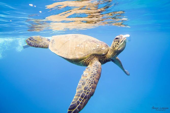 West Maui Afternoon Snorkel from Ka’anapali Beach - Who This Snorkel Sail Fits Best (and Who Should Rethink It)