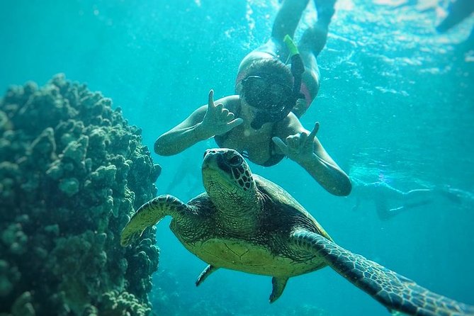 West Maui Half Day Snorkel from Ka’anapali Beach - Food and Drinks: The Part That Makes the Day Feel Worth It