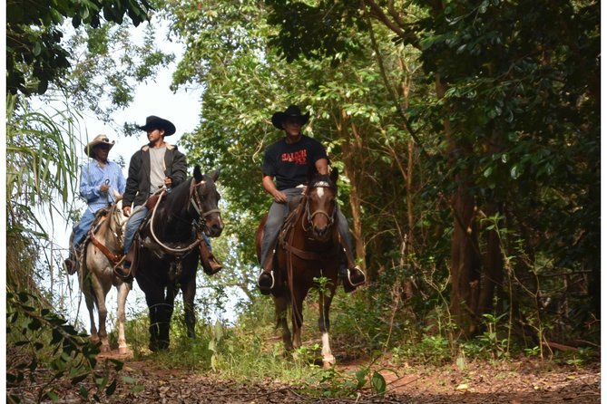 West Maui Mountain Waterfall and Ocean Tour via Horseback - Wailuku meeting point and how check-in tends to work