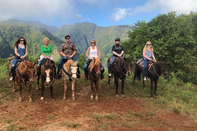 West Maui Mountain Waterfall and Ocean Tour via Horseback - Petting zoo time: mini horses, sheep, rabbits, and pig-friendly energy
