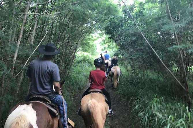 West Maui Mountain Waterfall and Ocean Tour via Horseback - Gear, clothing, and the dust-and-mud reality check