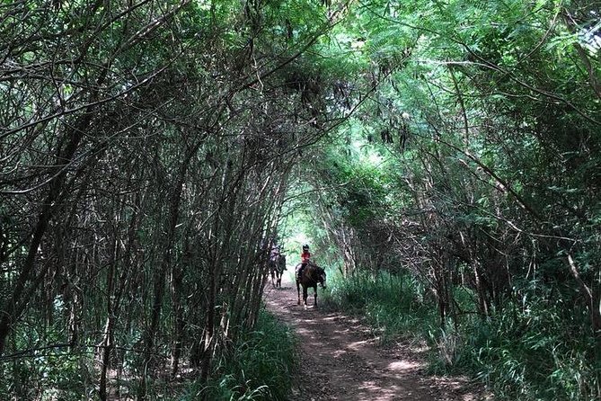 West Maui Mountain Waterfall and Ocean Tour via Horseback - Guides and small-group vibe: safety plus real attention