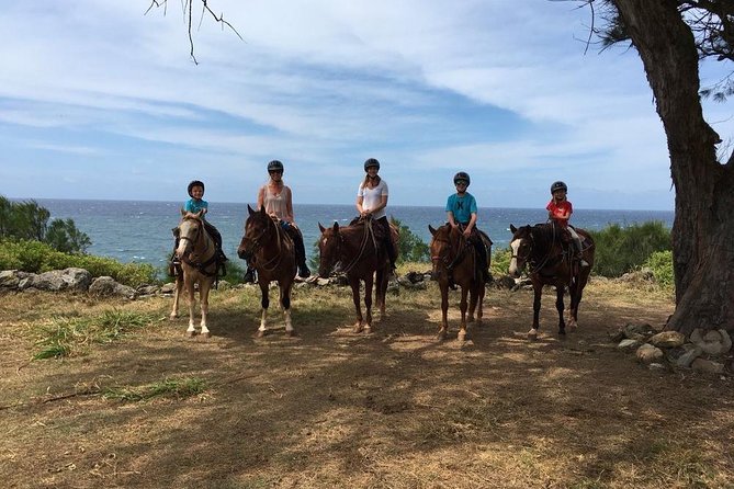 West Maui Mountain Waterfall and Ocean Tour via Horseback - Price and value: what $187.50 buys in real terms