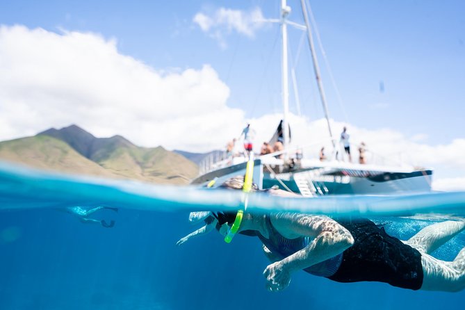 West Maui Snorkel & Sail - Price and Value: What You’re Really Paying For at $206
