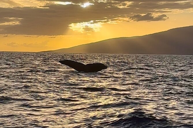 West Maui Sunset Whale Watch - Sunset Views: Moloka’i, Lana’i, Kaho’olawe, Haleakal, and West Maui Mountains