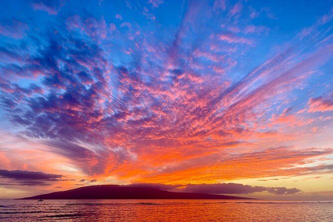 West Maui Sunset Whale Watch - Who Should Book This Sunset Whale Watch?