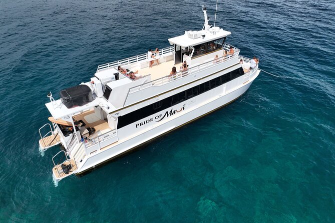 Whale Watch and Turtles Snorkel - Maalaea Harbor and a Smooth 2 pm Start