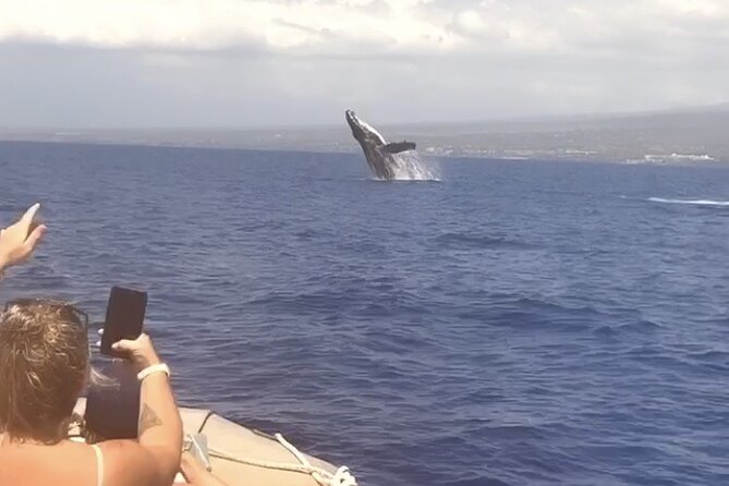 Whale Watching Tour on a Charming Hawaiian Catamaran From Maalaea - Why the Winona setup from Maalaea works for whale lovers