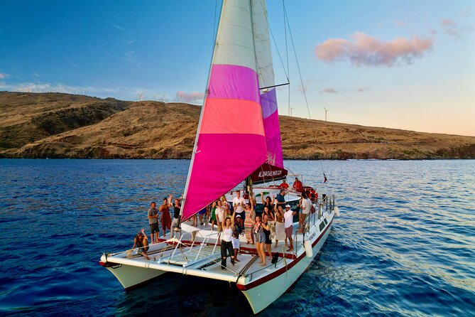 Whale Watching Tour on a Charming Hawaiian Catamaran From Maalaea - How the 2.5-hour tour unfolds on the water