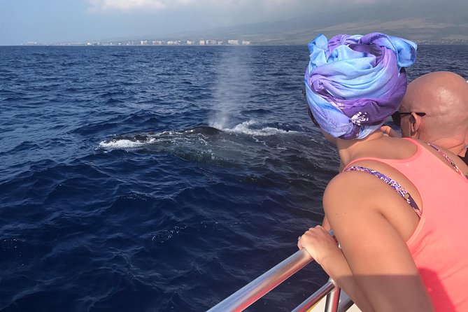 WHALES GUARANTEED Maui Whale Watching Makai Adventures - Key highlights before you go