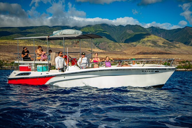 WHALES GUARANTEED Maui Whale Watching Makai Adventures - How the captain and crew find active humpbacks (and keep it respectful)