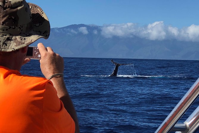 WHALES GUARANTEED Maui Whale Watching Makai Adventures - Who this whale watch suits best (and who should tweak expectations)